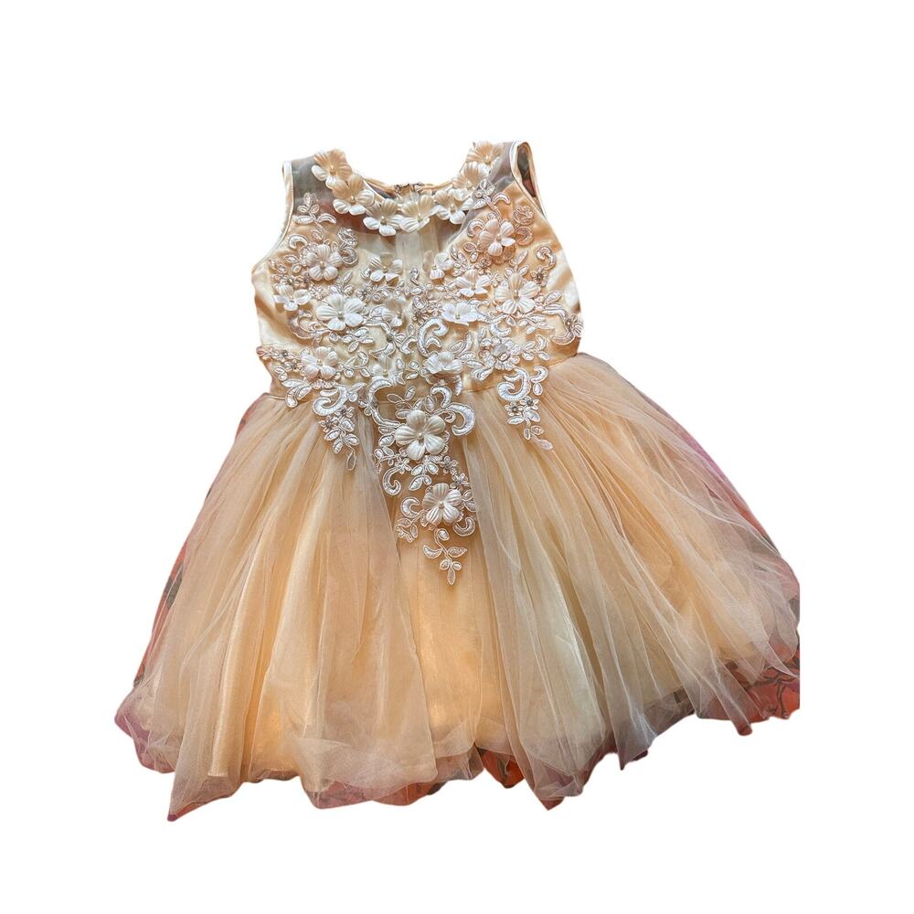 Flower Girl Dress for 18 mnths